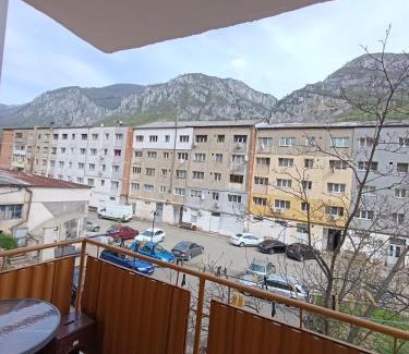 Baile Herculane Apartment | Welcoming Mim's Home: Family-Friendly Retreat with 9/10 Rating