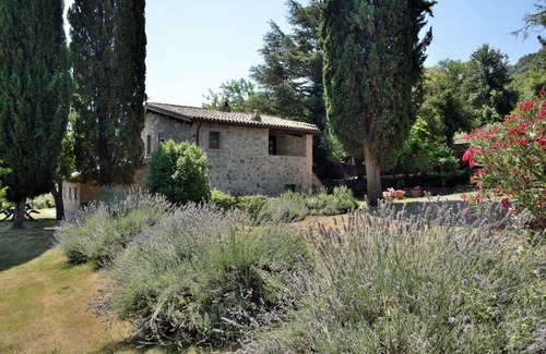 Bagnoregio Apartment | Pet-Friendly Comfort at Mimosa with a Perfect 10/10 Rating