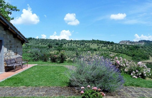 Bagnoregio Apartment | Pet-Friendly Comfort at Mimosa with a Perfect 10/10 Rating