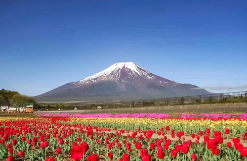 Yamanakako Hotel | Discover Minamitsuru-gun: 10/10 Rated Family-Friendly Hotel