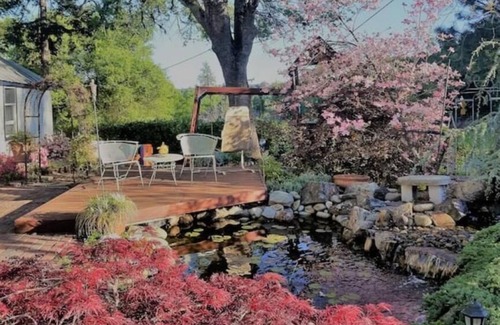 Placerville Cabin | Eco-Friendly Miners Cottage with Pool & Breakfast Included