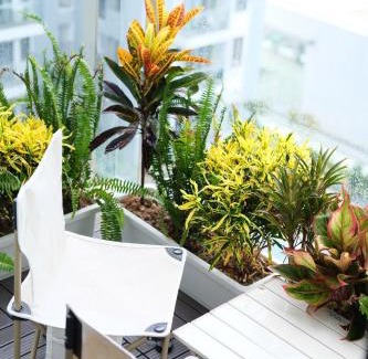 Hue Apartment | Minh Anh Apartment 2
