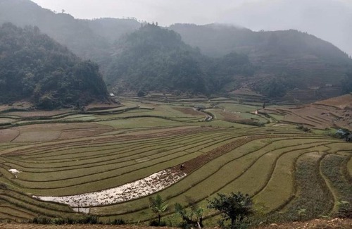 Bac Ha House | Minh Thắm: Pet-Friendly Retreat with Breakfast Included
