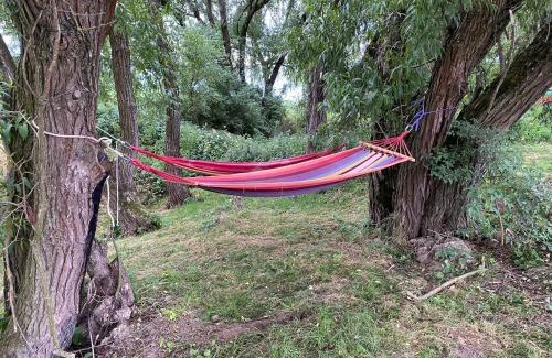 Lipa Cabin | Cozy Mini Chatka with Pond - Perfect for Families & Pets