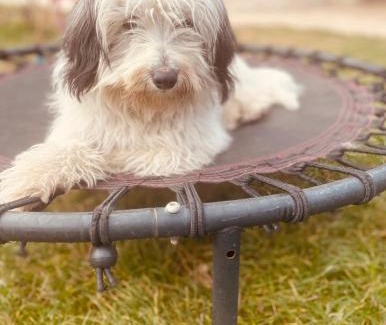 Tuzi Municipality Ski Chalet | Family-Friendly Retreat at Mini Farm Cemi with Pets Welcome