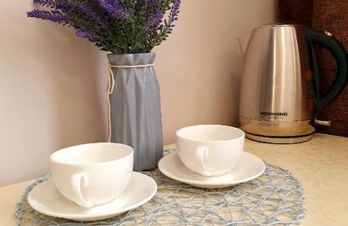 Vladivostok Hotel | Cozy Mini-Hotel Gorizontal: Pet-Friendly Oceanfront Retreat