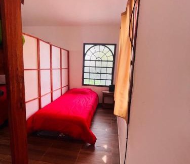 Floresta House | Mini house con sol y luz