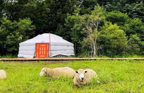 Gujo Other | Mini Mongolia Campsite - Family & Pet-Friendly Getaway