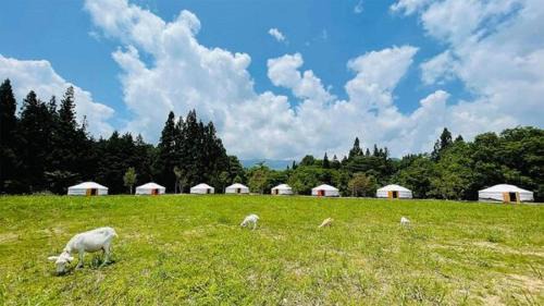 Gujo Other | Mini Mongolia Campsite - Family & Pet-Friendly Getaway