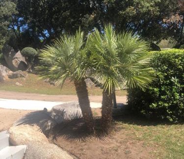 Porto-Vecchio Apartment | Idyllic MINI VILLA: Family-Friendly Retreat in Palavesa