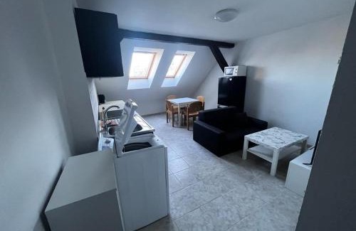 Szombathely Apartment | Comfortable City Center Apartment with Minibar Access