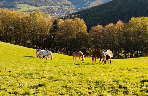 Payerbach Apartment | Cozy Nature Retreat for Couples - Pet Friendly & Highly Rated