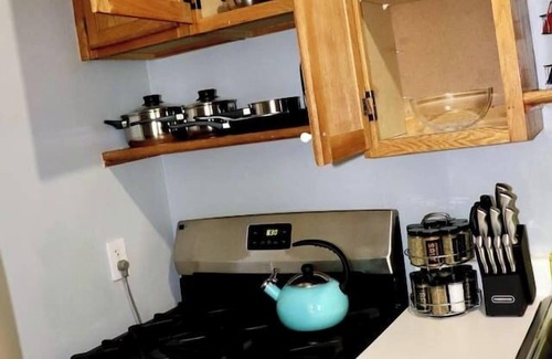 Oak Park Apartment | Mins to DT & Frank Lloyd Wright
