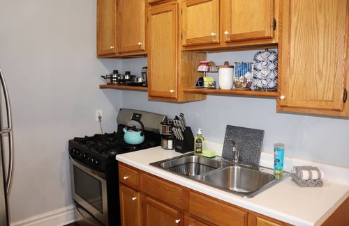 Oak Park Apartment | Mins to DT & Frank Lloyd Wright