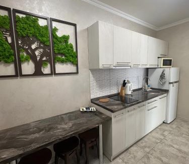 Polyana Apartment | Mint Apartment: Guest Rated 10/10 with Oceanfront Views