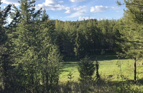 Coram Cabin | Idyllic Glacier Home: Wildlife, Pool, Spa & Internet Access