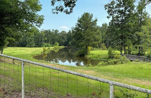 Benton House | Prime Location Near Cypress Lake & Top Local Venues