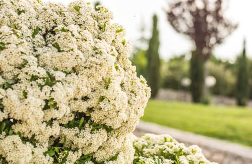 Gravina in Puglia Bed & Breakfast | Miramurgia B&B: Top-Rated Stay with Pool & Breakfast