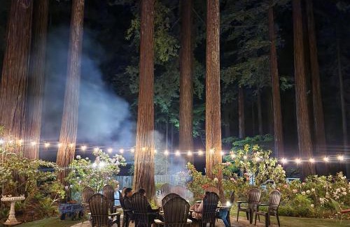 Myers Flat Hotel | Discover Family-Friendly Fun at Miranda Gardens Resort