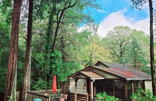 Myers Flat Hotel | Discover Family-Friendly Fun at Miranda Gardens Resort