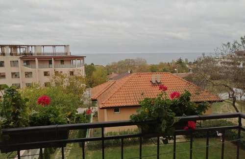 Byala House | Experience Miranis Houses: Pet-Friendly with Top Reviews