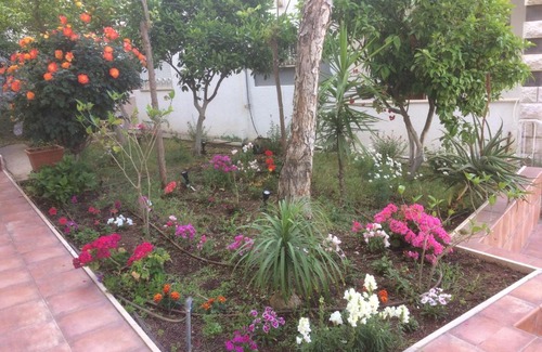 Nazareth House | Guest Rated 10/10 at Miriam Short Term Rental - Child Friendly!