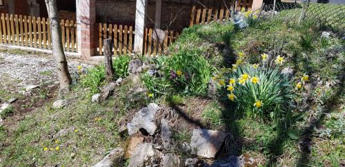 Gospic House | Pet-Friendly Retreat at Mirni Kutak - Rated 9.5/10!