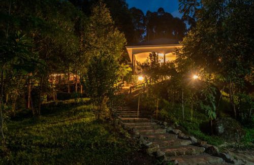 Sipi Cabin | Discover MISE CAVE LODGE: Pet-Friendly and Family Ready