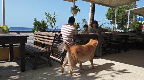 Eluan House | Oceanfront Mishe B&B: Guest Rated 9/10, Pet Friendly Stay