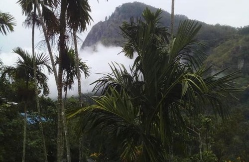 Ella Bed & Breakfast | Serene Escape at Misty Heaven: Guest Rated 9.2/10