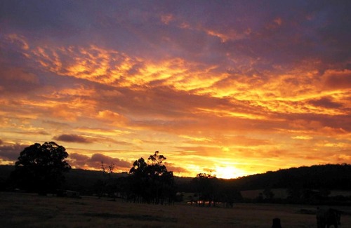 Scotsdale House | Pet-Friendly Retreat at Misty Valley Country Cottages