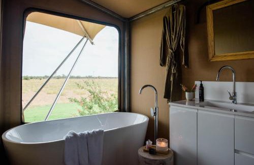 Longreach Other | Experience Mitchell Grass Retreat with Pool & Ocean Views