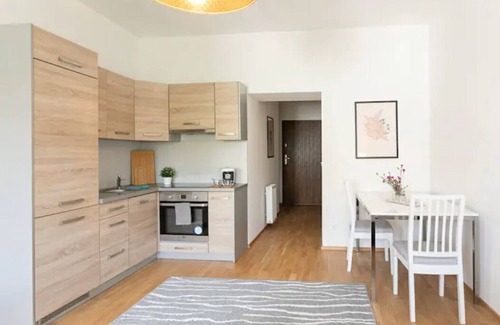 Funfhaus Apartment | Comfortable Studio Apartment Near Schoenbrunn & City Center
