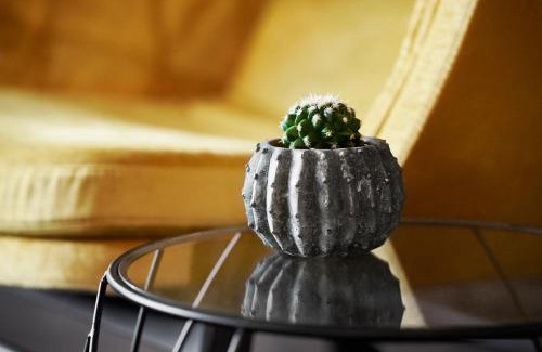 Rothenburg ob der Tauber Hotel | Discover Mittermeiers Alter Ego: A 4-Star Pet-Friendly Retreat