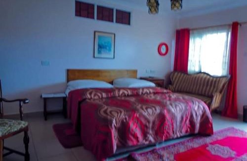 Nanyuki Hotel | Delightful MLIMAVIEW GARDENS with Restaurant & Family Fun