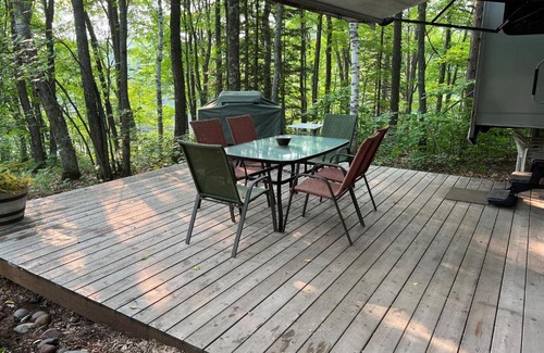 Carlton County Resort | Pet-Friendly Ocean View Retreat for the Whole Family