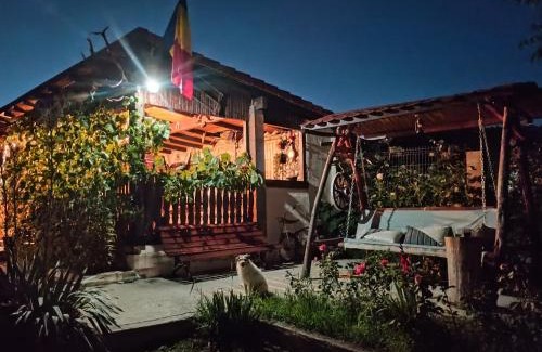 Ocna Sibiului House | Moșia lu' Mișu
