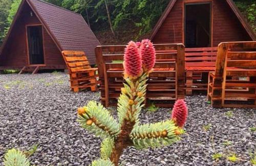 Baisoara Ski Chalet | Pet-Friendly Retreat at Moara de Pădure with Hot Tub