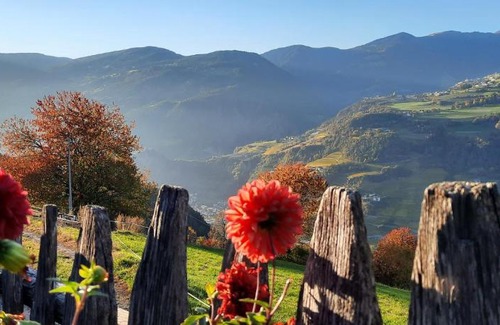 Albions Apartment | Pet-Friendly Retreat at Moarhof Gufidaun - Rated 9.6/10