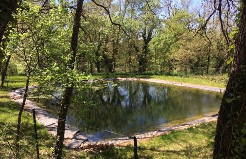 Grambois Other | Relaxing Mobil Home à la ferme with Pool in Provence