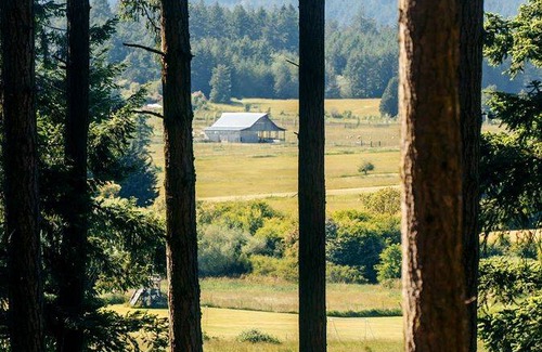 Friday Harbor House | Mobile home ∙ 1 bedroom ∙ 3 guests