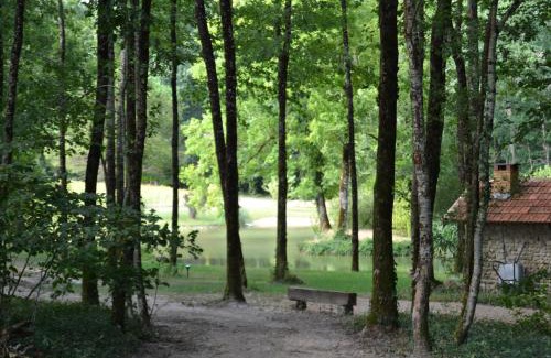 Chatignac Other | Family-Friendly Stay at Mobile Home des Pins - Rated 9.2/10