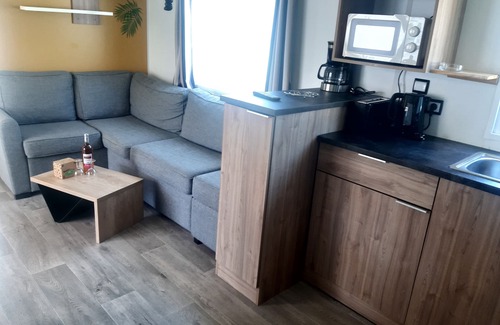 Saint-Julien-en-Born House | Cozy Mobilhome for Families with Pool & Spa in Contis