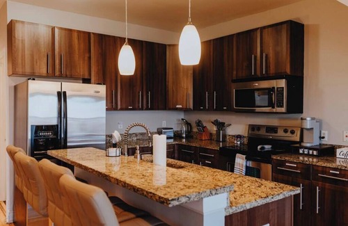 The Gate Apartment | Modern 1BR/1BA Steps from SSM SLU Hospital & Pet Friendly