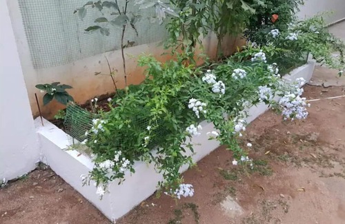 Kondapur House | Discover a Modern 2 BHK Retreat in Hyderabad's Center