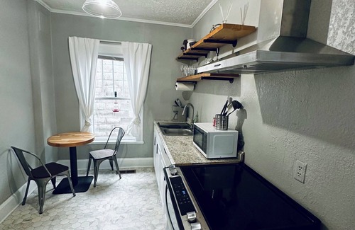 Leadsville Apartment | Modern 4-bedroom Duplex Apartment in Downtown Elkins beside Big Timber Brewing
