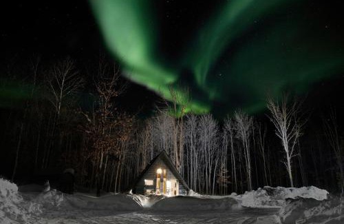 Brook Park House | Cozy A-Frame Retreat in the Woods - Pet Friendly Stay