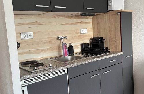 Neuhausen/Erzgeb. Apartment | Contemporary Apartment with Spa Near Chemnitz