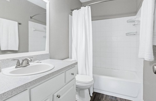 Greater Northdale Apartment | Modern Apartment with Kitchen in Prime Location