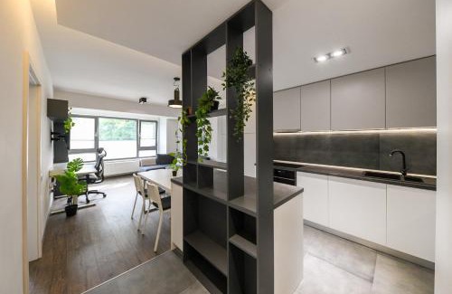 Cluj-Napoca Apartment | Tranquil Modern Apartment with Guest Rating of 9.9/10